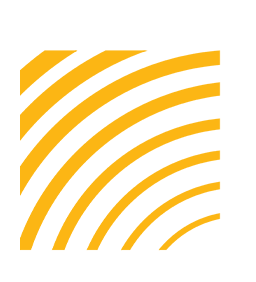 Palton Morgan Holdings